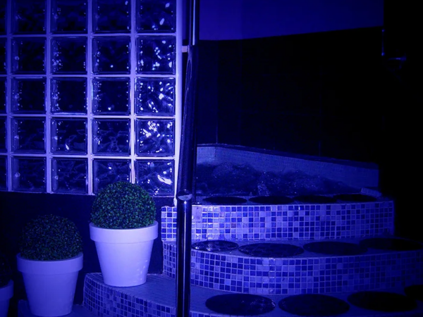 Club Liberal Swinger Valencia Flamingo Jacuzzi