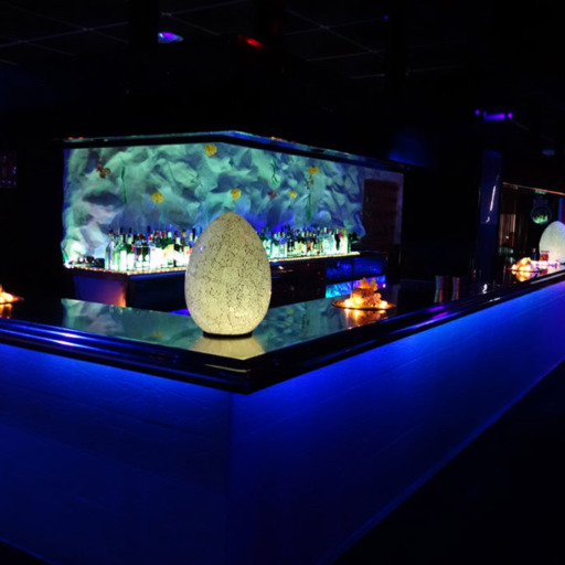 Club Liberal Valencia Jardin del Eden Interior Barra